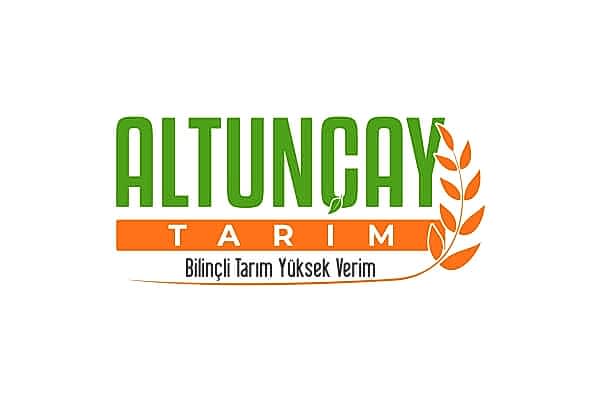 Bakı logo tasarımı 5